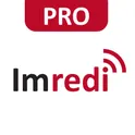 Imredi Audit Pro логотип