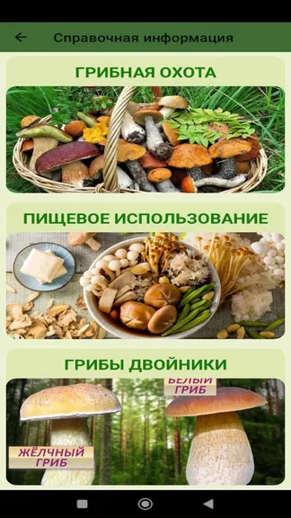 Скриншот 5/6