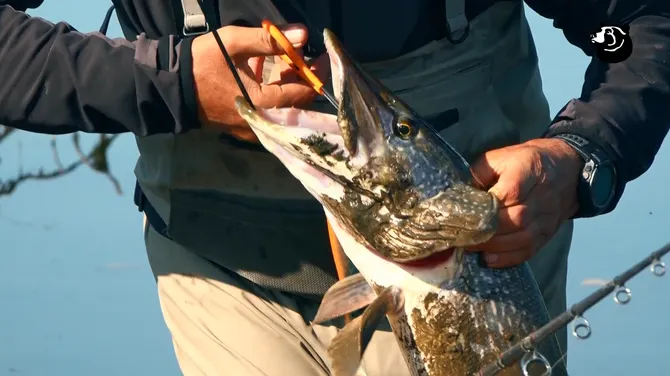 Скриншот 3/3