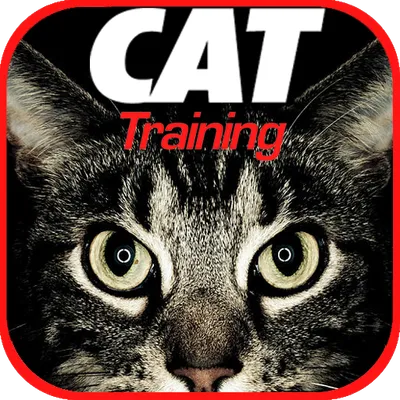 Cat Training