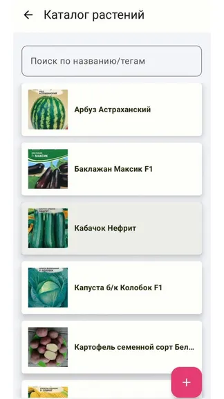 FAZENDA: план посадок и культуры