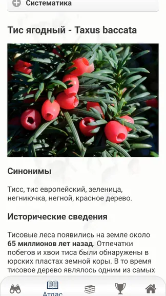 Скриншот 4/8