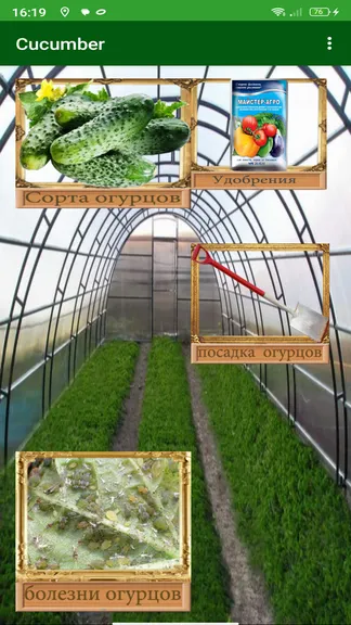 Скриншот 1/4