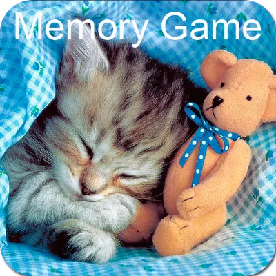 Cats Memory Game