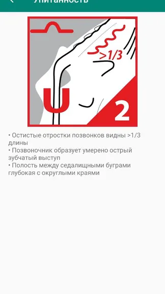 Скриншот 6/10