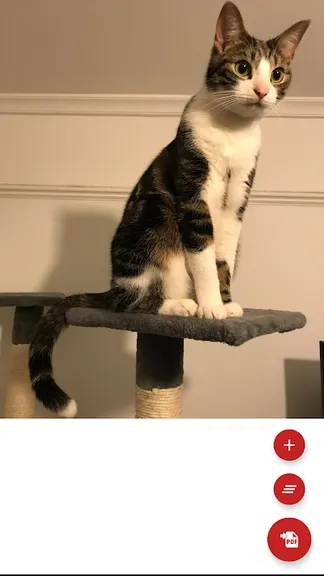 Скриншот 1/5