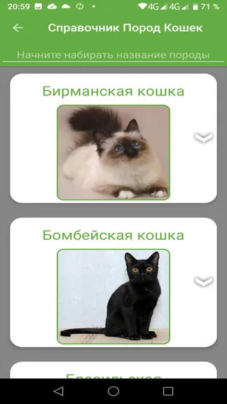 Скриншот 5/6