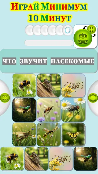 Скриншот 2/4