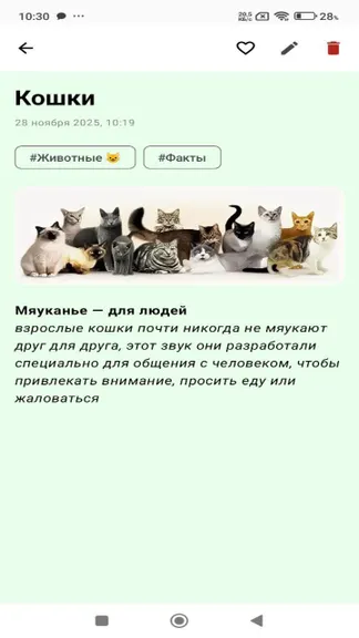 Скриншот 1/1