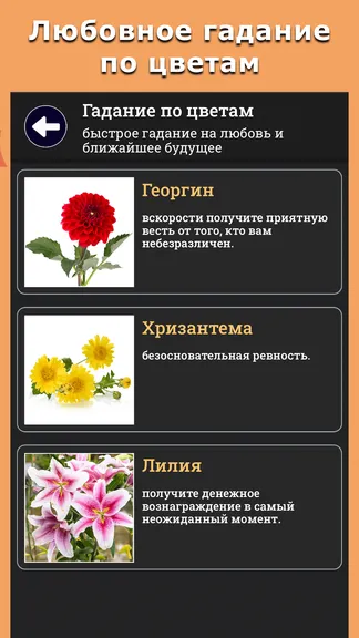 Скриншот 5/7