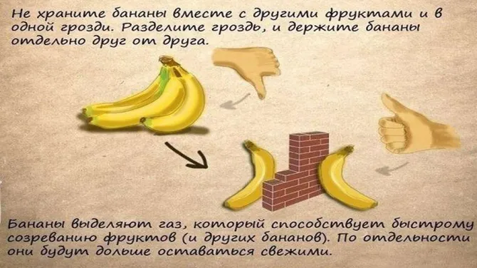 Скриншот 4/5