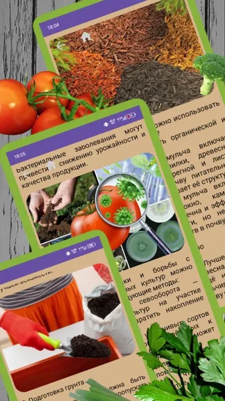 Скриншот 3/4