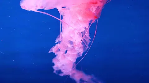 Скриншот 3/4