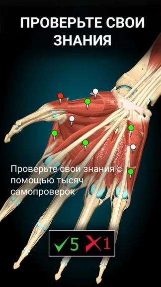 Скриншот 5/6