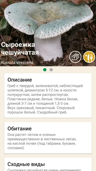 Скриншот 2/5