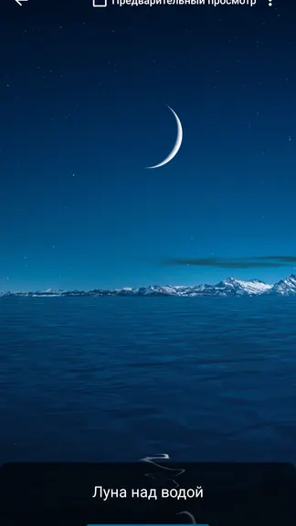 Скриншот 8/10