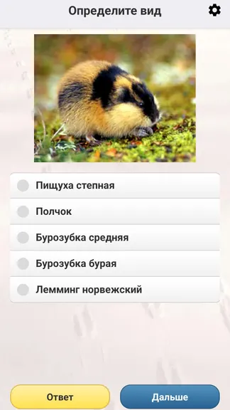 Скриншот 6/8