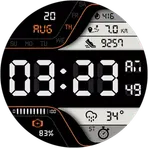 Splinter Watch Face логотип
