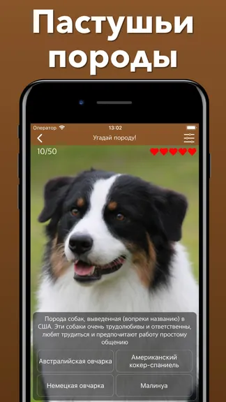 Скриншот 8/8