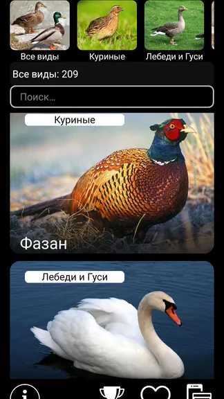 Скриншот 1/8