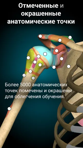 Скриншот 3/6