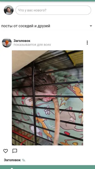 Скриншот 1/9