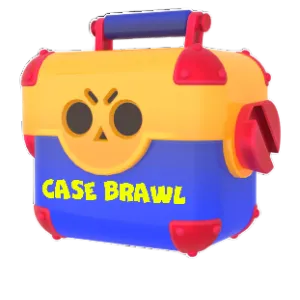 Case Brawl