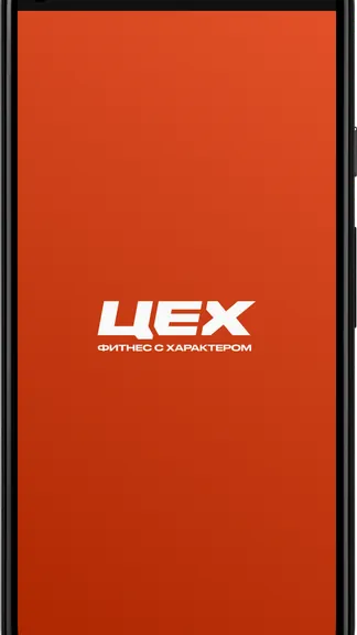 Скриншот 4/4