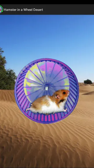 Скриншот 5/5