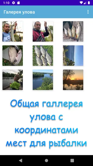 Скриншот 3/3