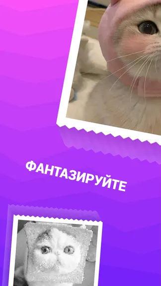 Скриншот 4/6