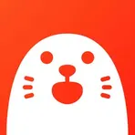 HOLLA - Live Random Video Chat логотип