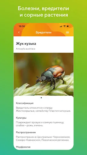 Скриншот 6/8