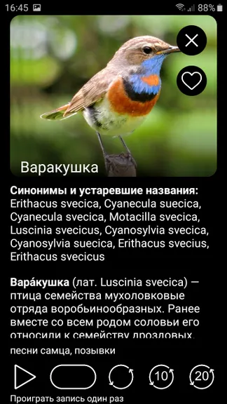 Скриншот 3/10