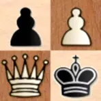 Chess Шахматы логотип