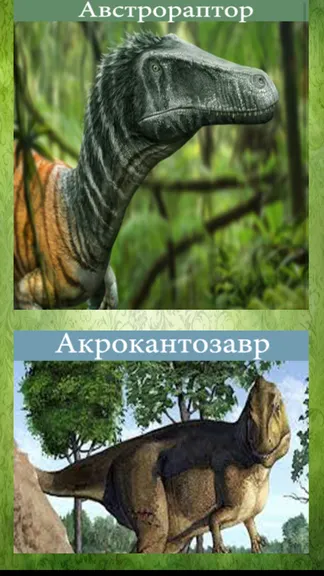 Скриншот 5/5