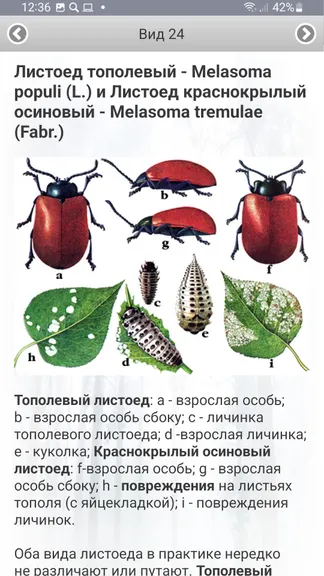 Скриншот 4/8