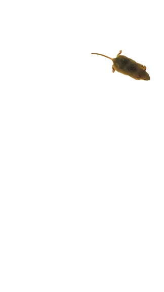 Скриншот 6/6