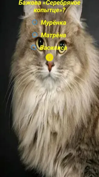 Скриншот 1/1