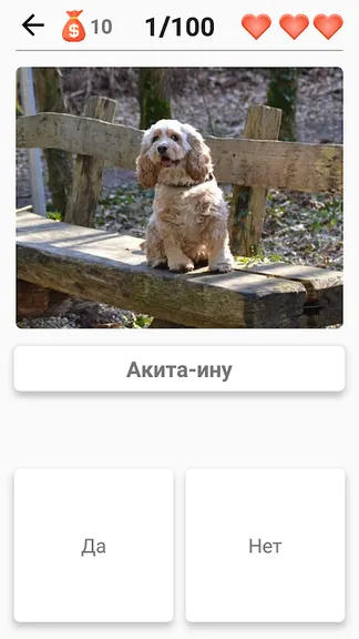 Скриншот 5/8