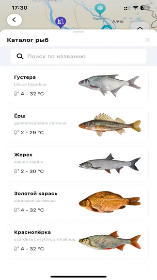 Скриншот 2/4