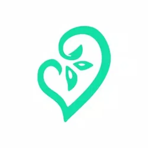 Терминал Акаша — иконка