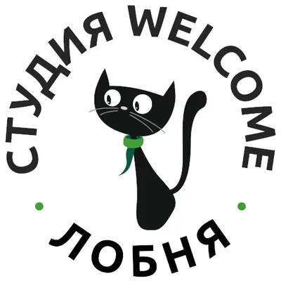 Студия Welcome Лобня