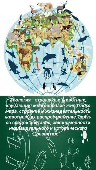 Скриншот 3/4