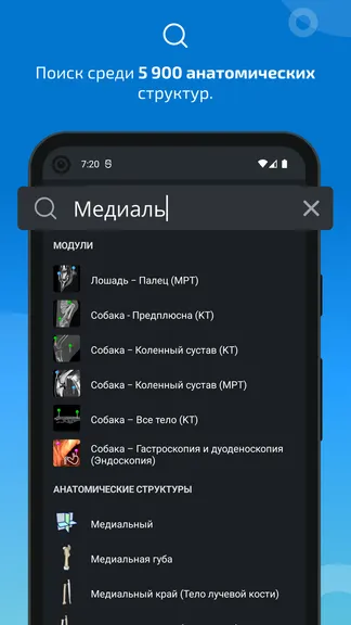 Скриншот 3/8
