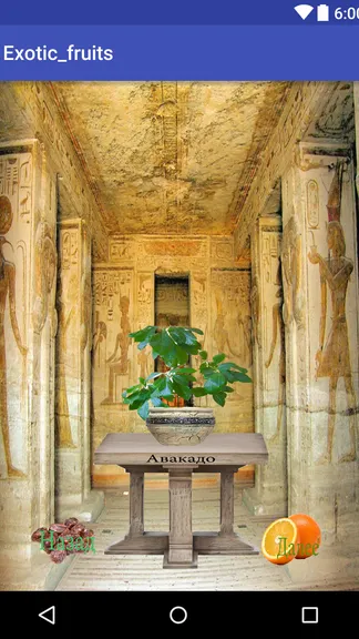 Скриншот 1/4