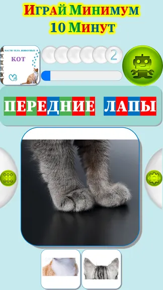 Скриншот 4/4