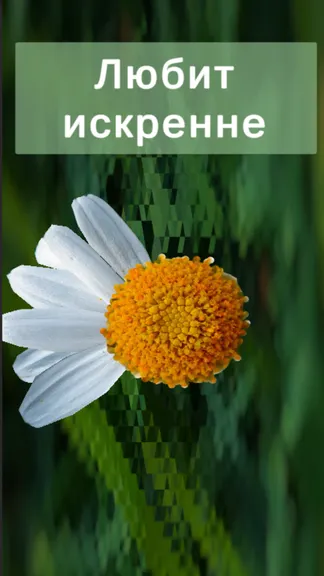 Скриншот 2/3