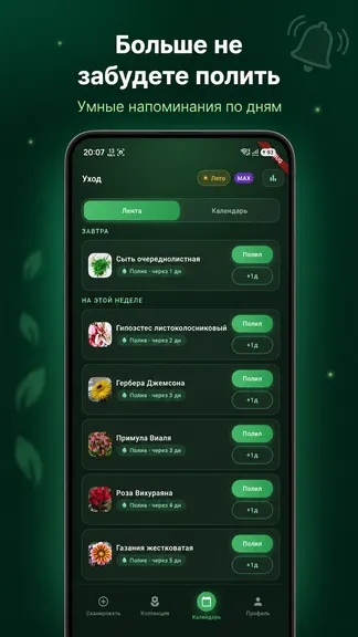 Скриншот 3/7