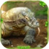 Komodo Dragon : Dragon Games